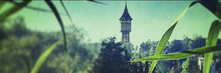 Albert Hdz. banner