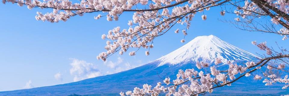 JenalwaySpexial's profile banner image