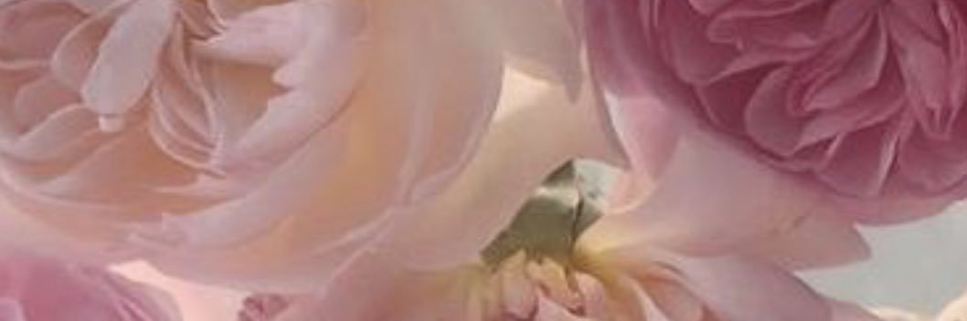 AlbraryZhr's profile banner image