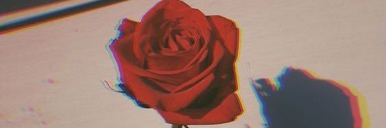 GntLaura_'s profile banner image