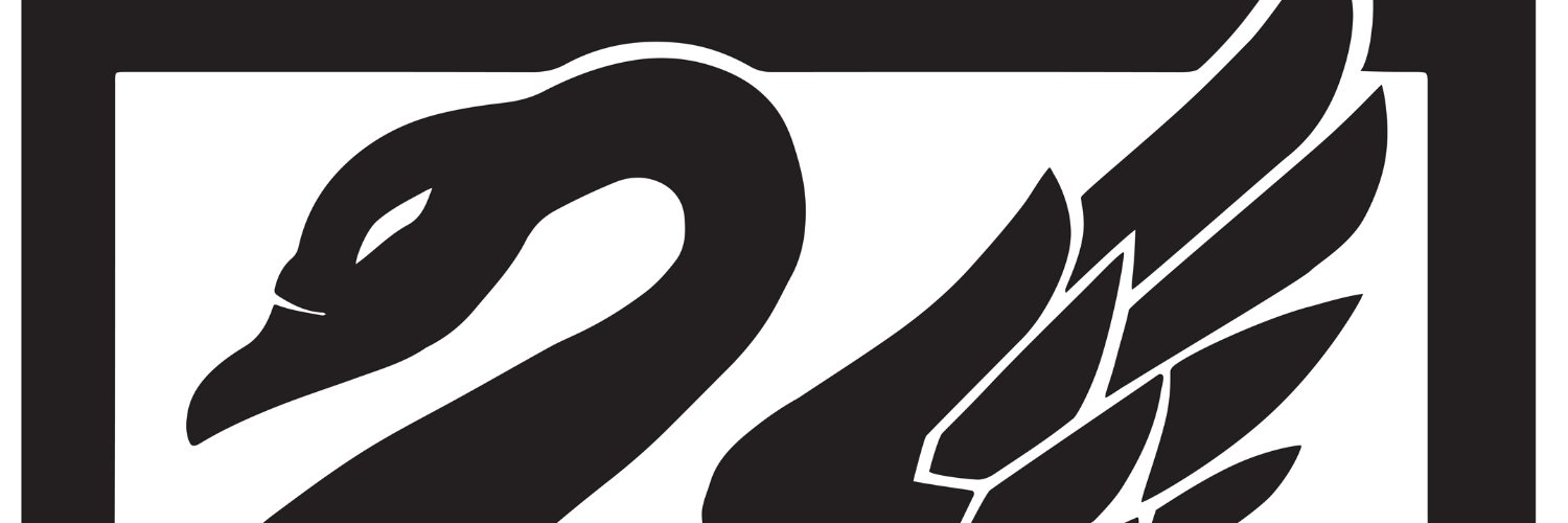 Pasi Paroinen banner