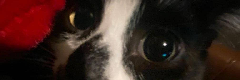 _karenmoores_'s profile banner image