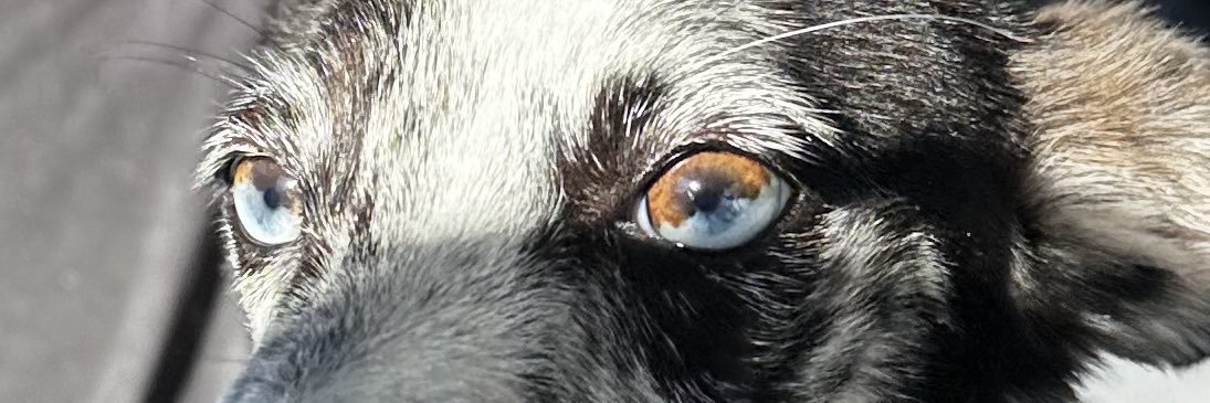 SheilaMdC4's profile banner image
