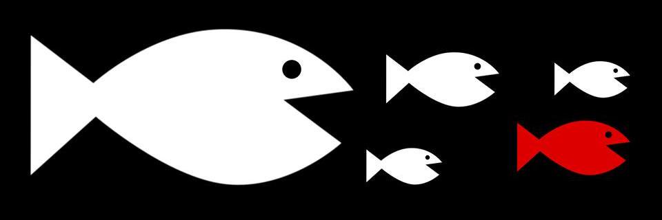 FanaticPesca's profile banner image