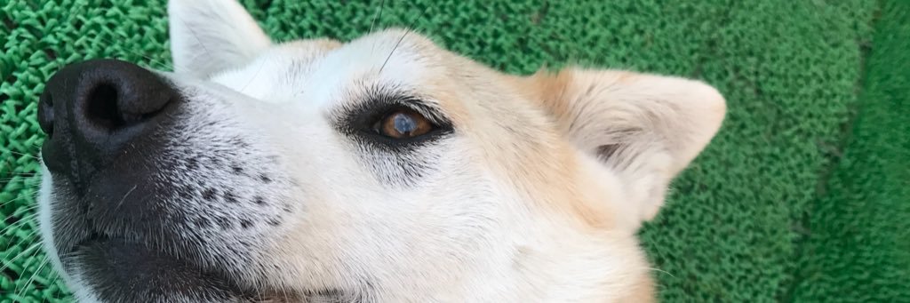 130mtao's profile banner image