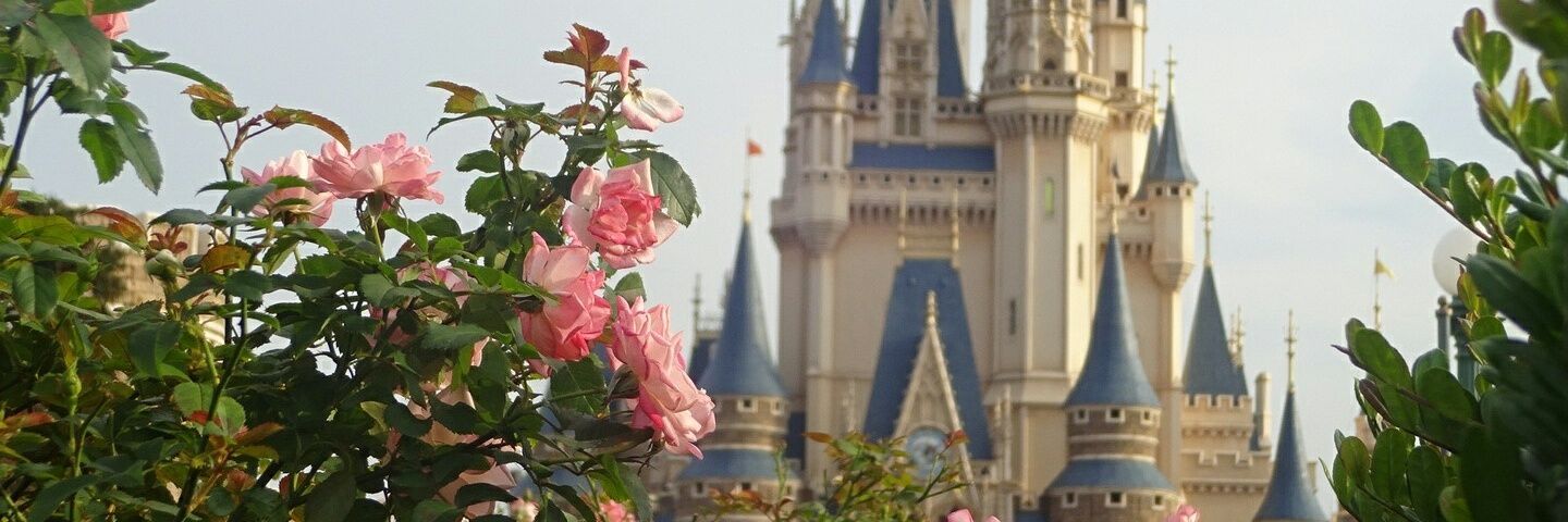 truth0426's profile banner image