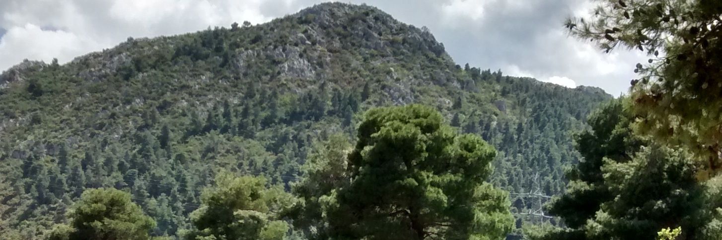 xpapatheod's profile banner image