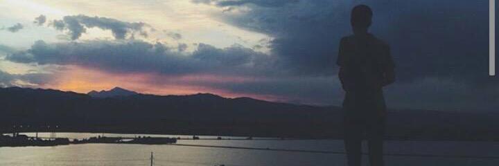 fecipolas's profile banner image