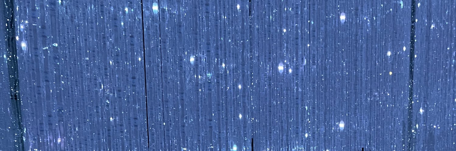 googoosuki's profile banner image
