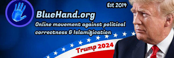 Bluehand James banner
