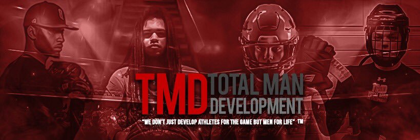 totalmandevelop's profile banner image