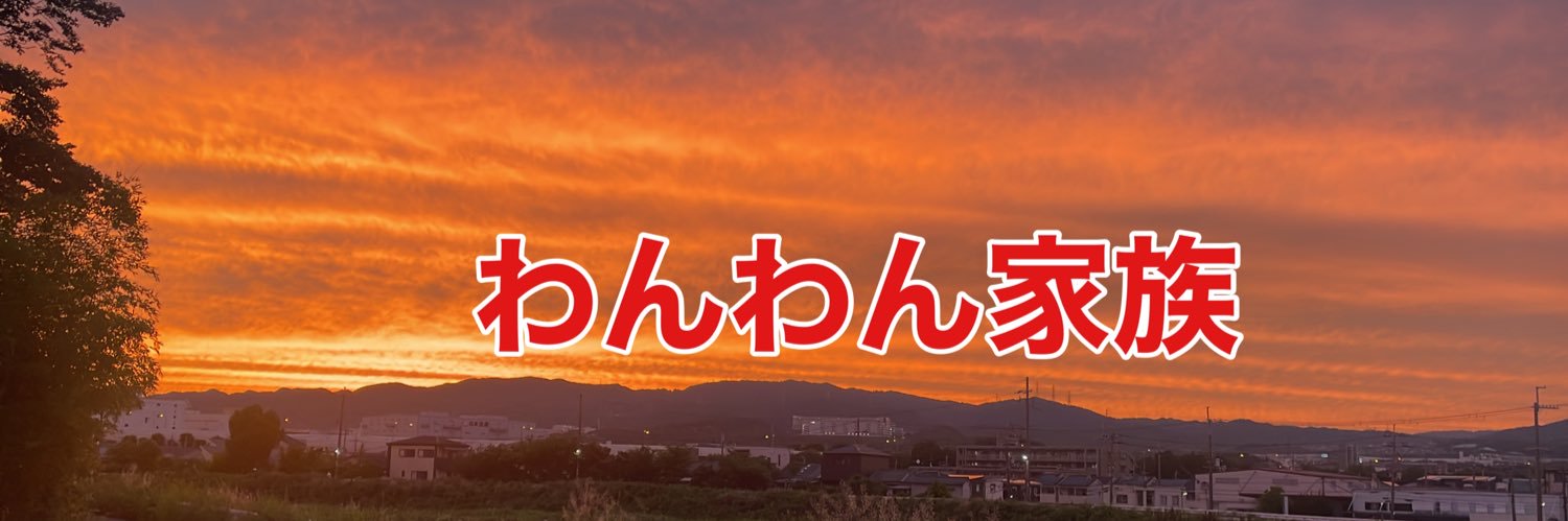 北尾 🐶わんわん家族 banner