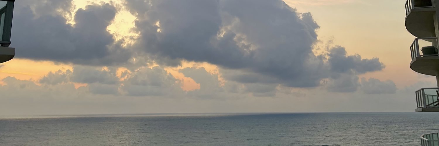 soppmossa_'s profile banner image
