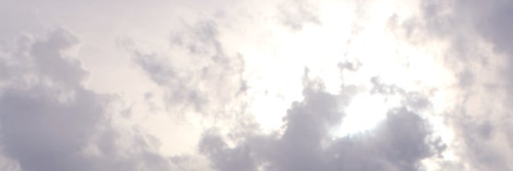 guessthisartist's profile banner image