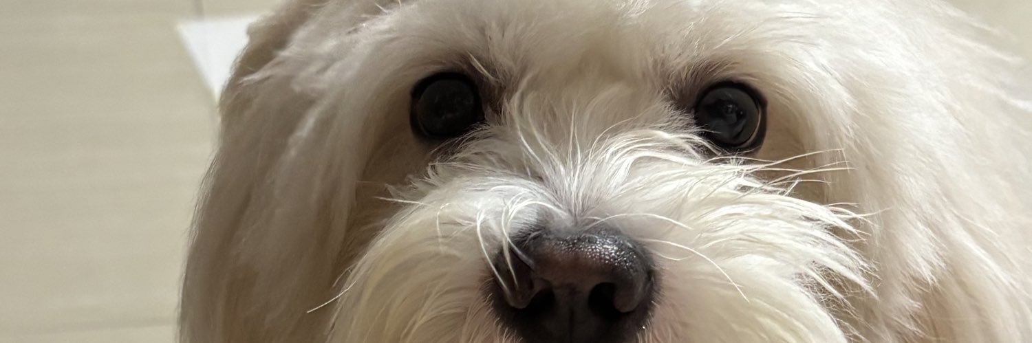 morerrice's profile banner image