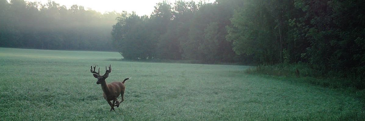 DetDerrick's profile banner image