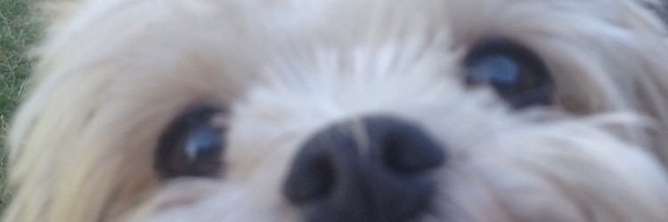 ohgodkarla's profile banner image