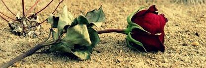 blt_ozcn's profile banner image