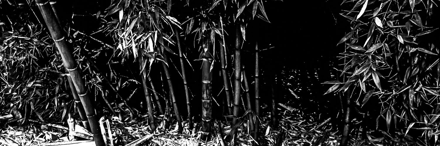 Gallego Disidente banner