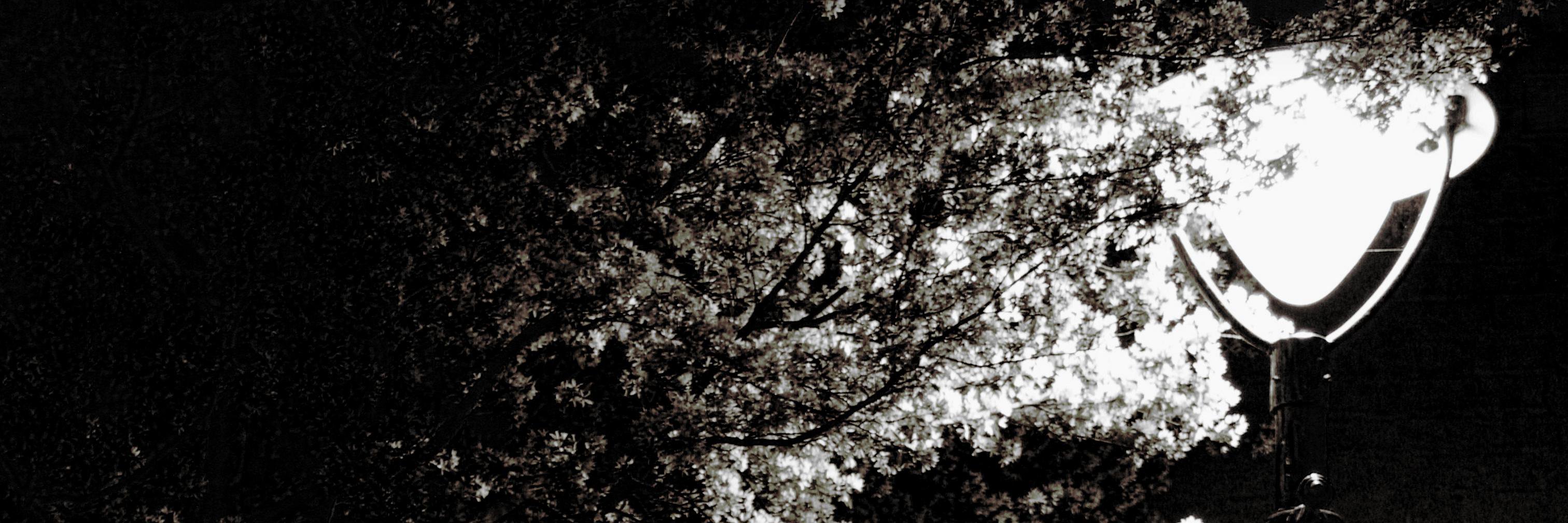 nick_gresham's profile banner image