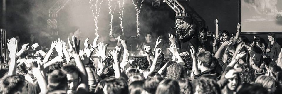 TCOCKLPG's profile banner image