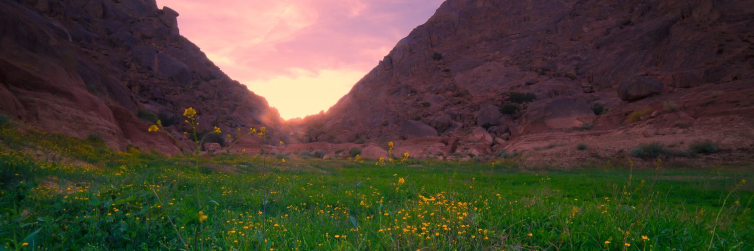H_S_L_T's profile banner image