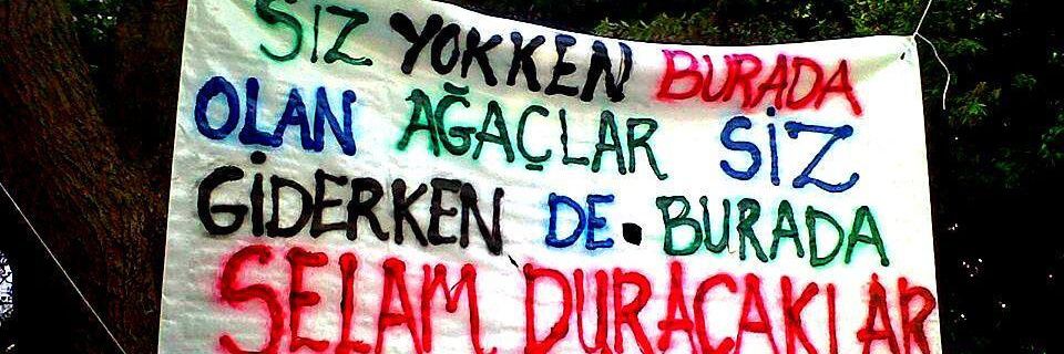 cemriks's profile banner image