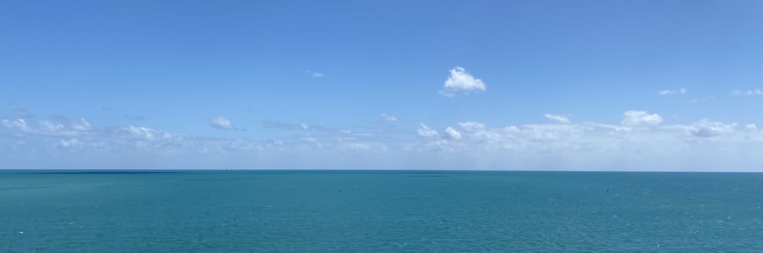 Michelle ☮️🌻🟦🟧🟩🌈🧷 banner