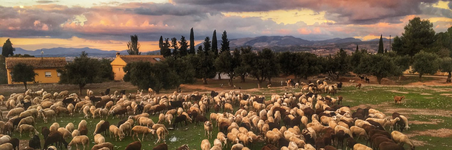 OveNegra's profile banner image
