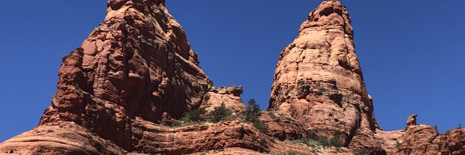 Radxraymd's profile banner image