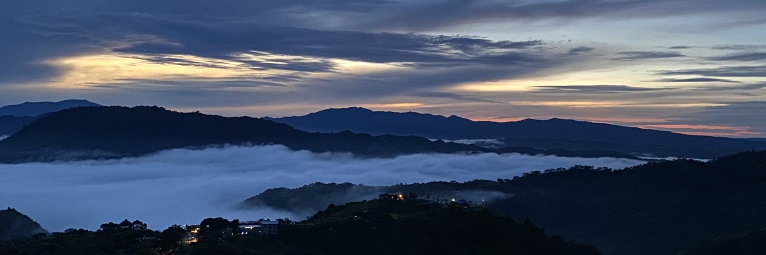 Desiree De Mesa banner