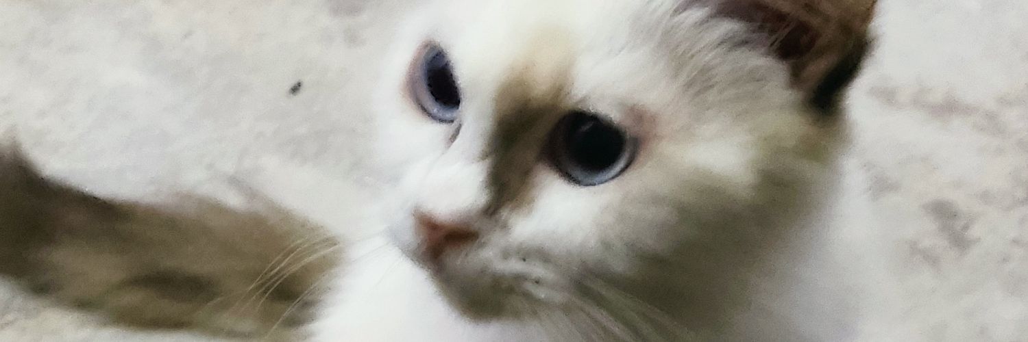 aydenrafael_'s profile banner image