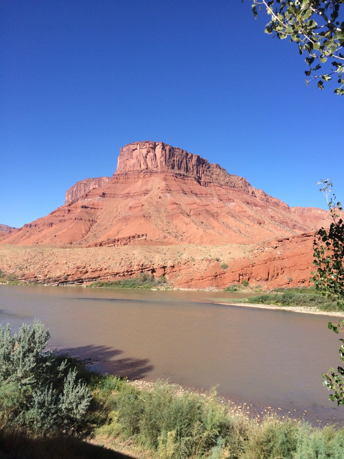 FREEDOM2025Jams@buildamericaup banner