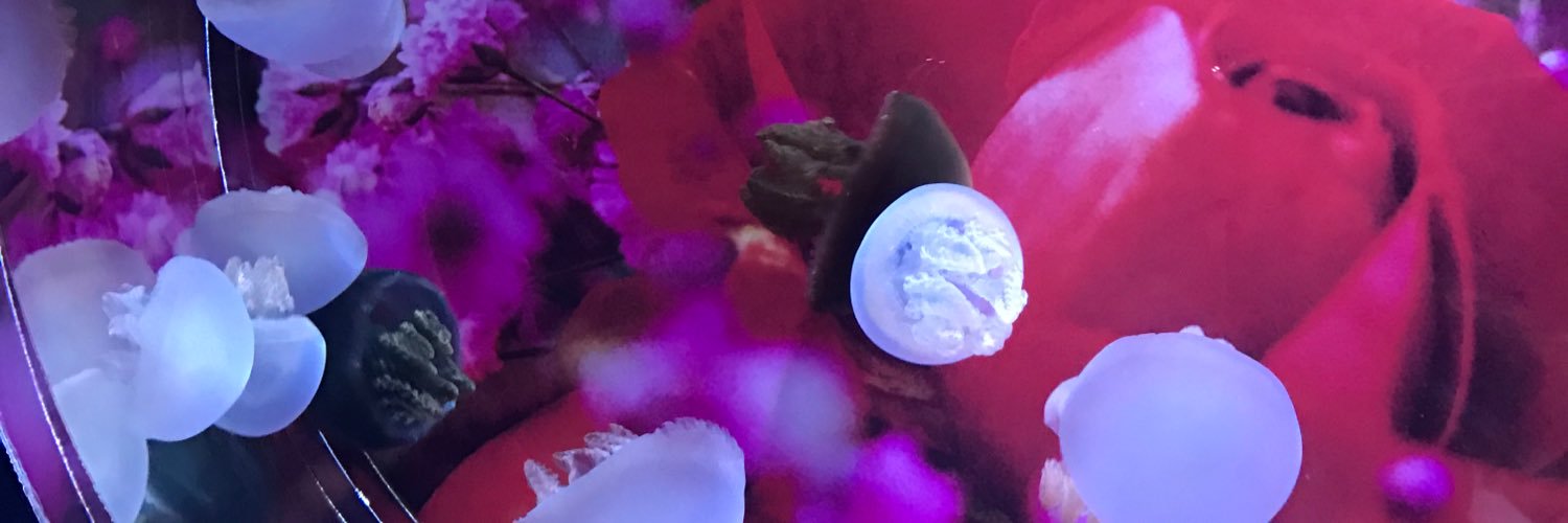 anzudoo's profile banner image