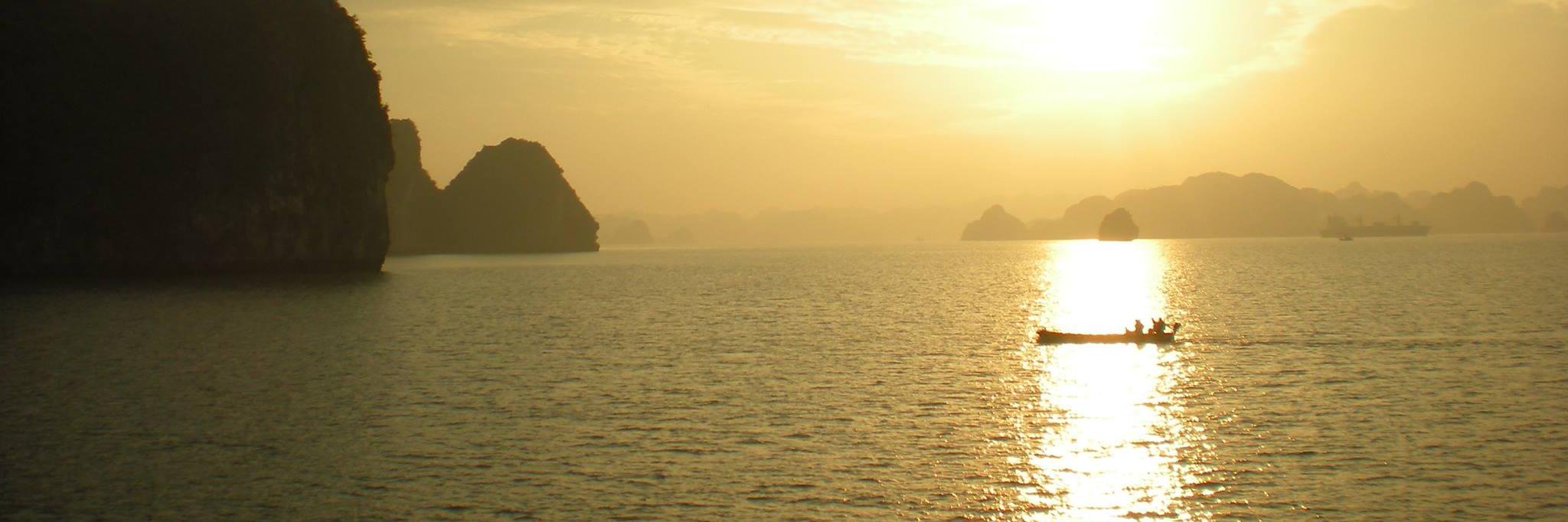 MSelesky's profile banner image
