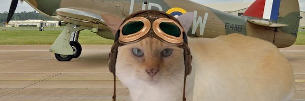 TrottinBarry's profile banner image