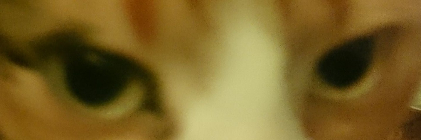 GaggoUntrox's profile banner image