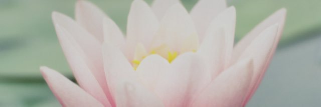 GoniFifi's profile banner image