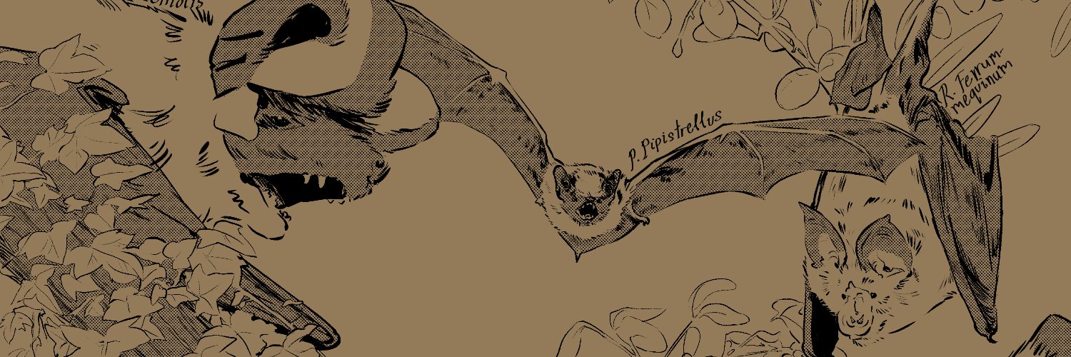 enemy_art_'s profile banner image