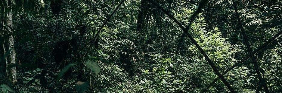 _malel16's profile banner image