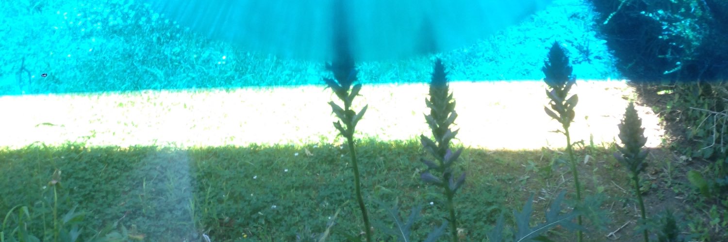 LeanYarrum's profile banner image
