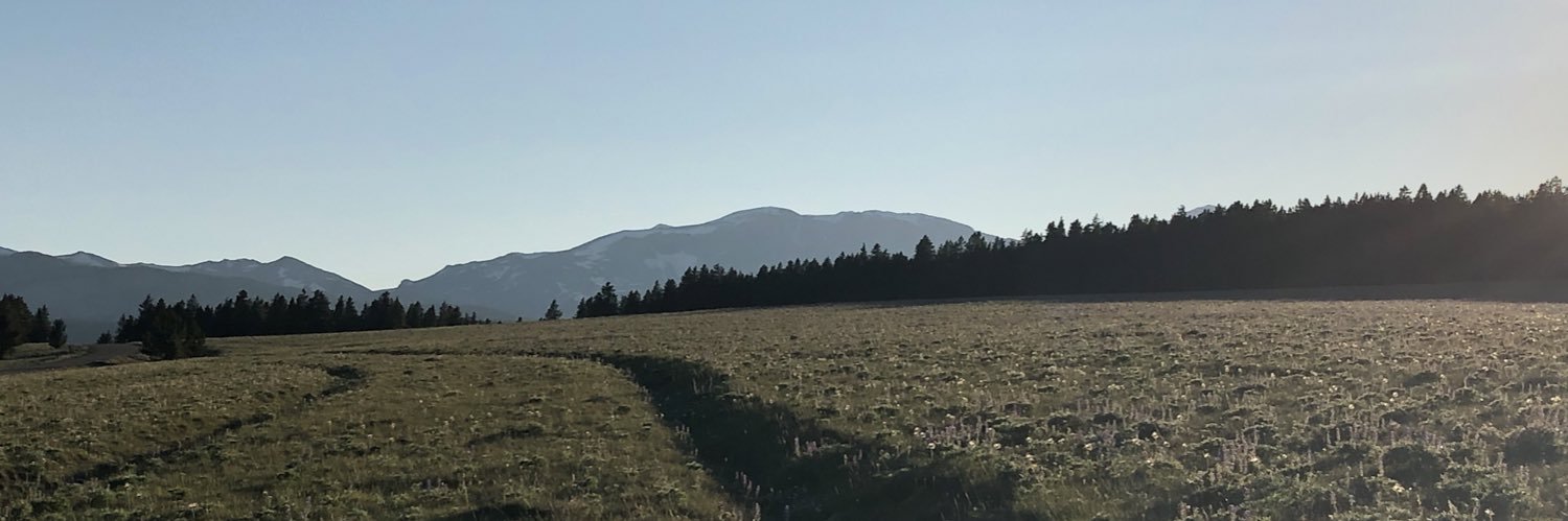 Kelli_MI's profile banner image