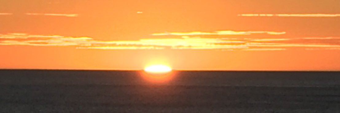 みっち🐈🌼なちゃず&まうちゃん親衛隊 banner