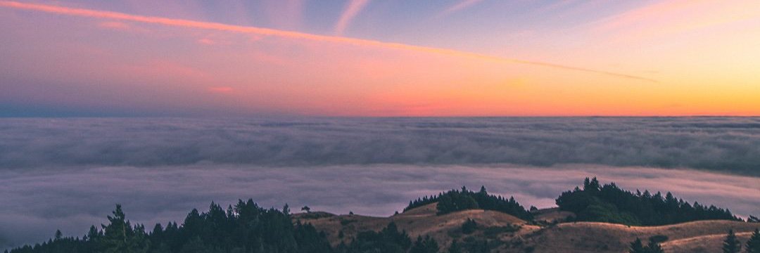 jenncrz's profile banner image