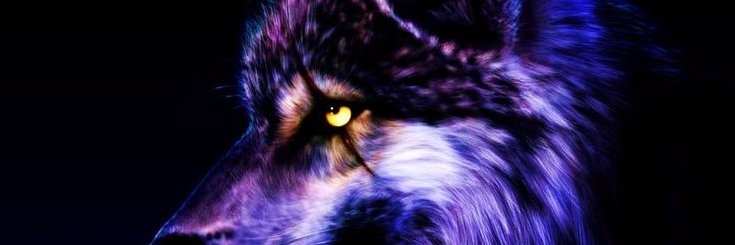 gouku666's profile banner image