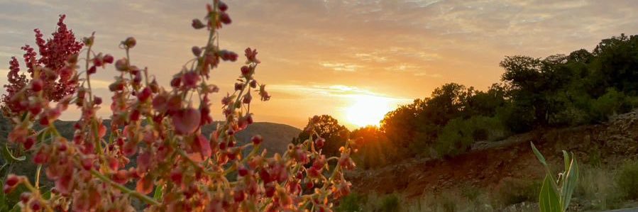 abdo_aar's profile banner image