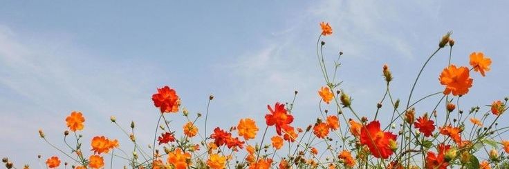 worldnamj's profile banner image