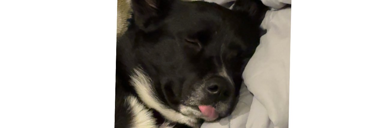 CBrack25's profile banner image