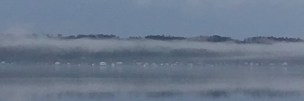 InOurBackYards Profile Banner