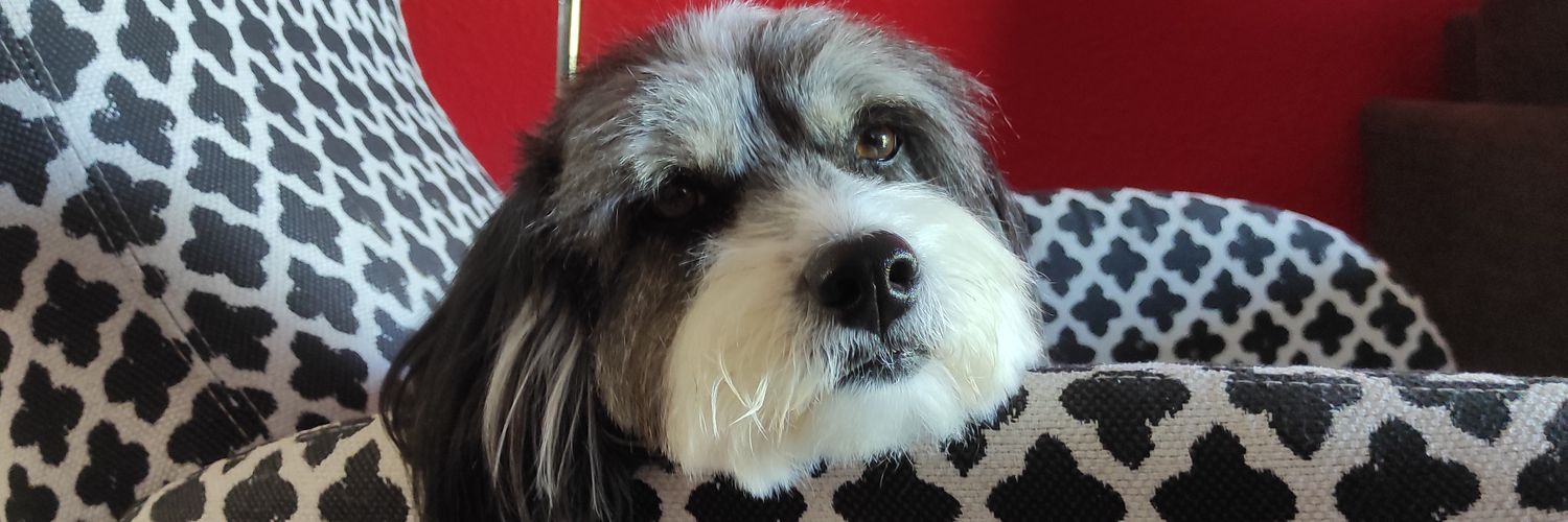 PenschowKatrin's profile banner image